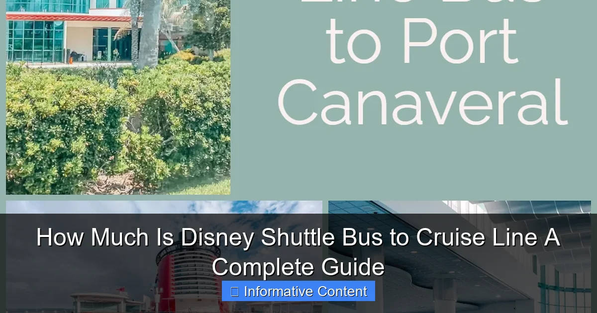 How Much Is Disney Shuttle Bus to Cruise Line A Complete Guide