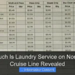 How Much Is Laundry Service on Norwegian Cruise Line Revealed