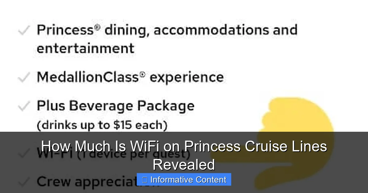 How Much Is WiFi on Princess Cruise Lines Revealed