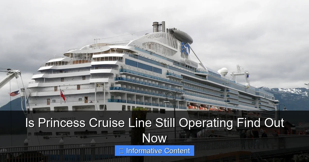 Is Princess Cruise Line Still Operating Find Out Now