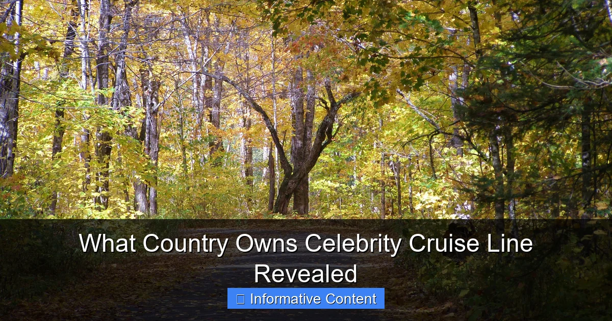 What Country Owns Celebrity Cruise Line Revealed