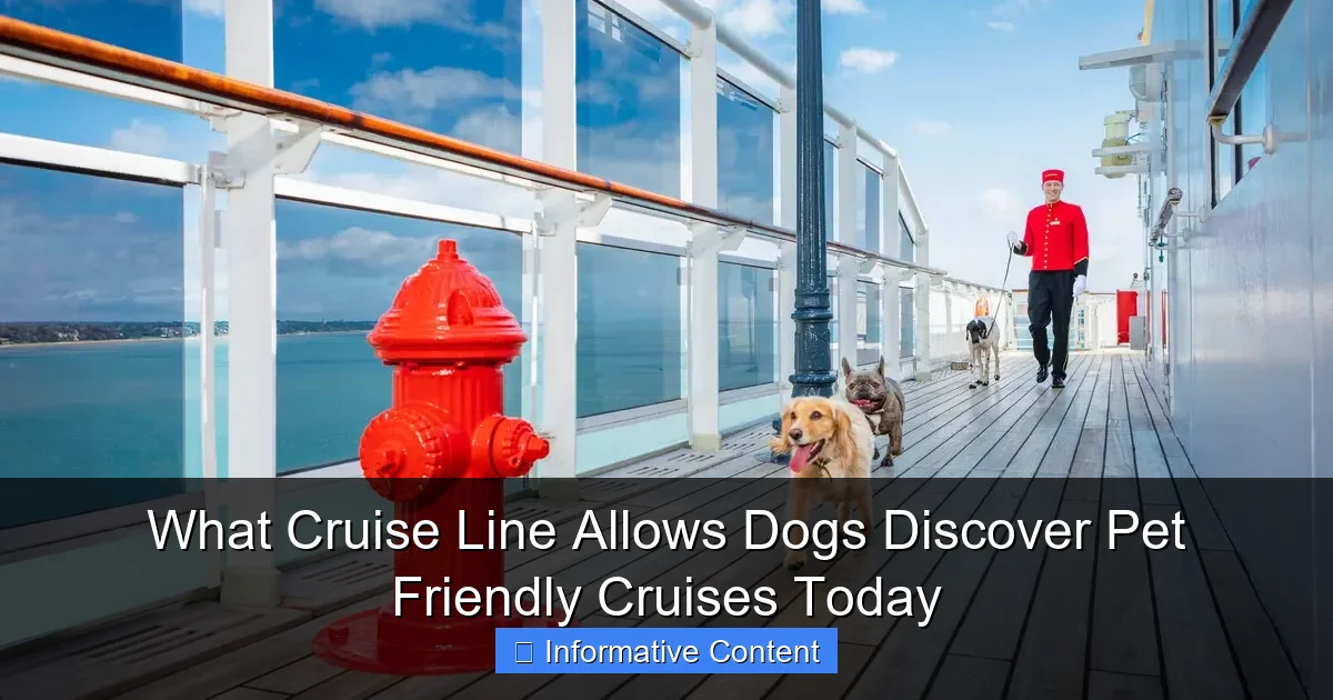 What Cruise Line Allows Dogs Discover Pet Friendly Cruises Today