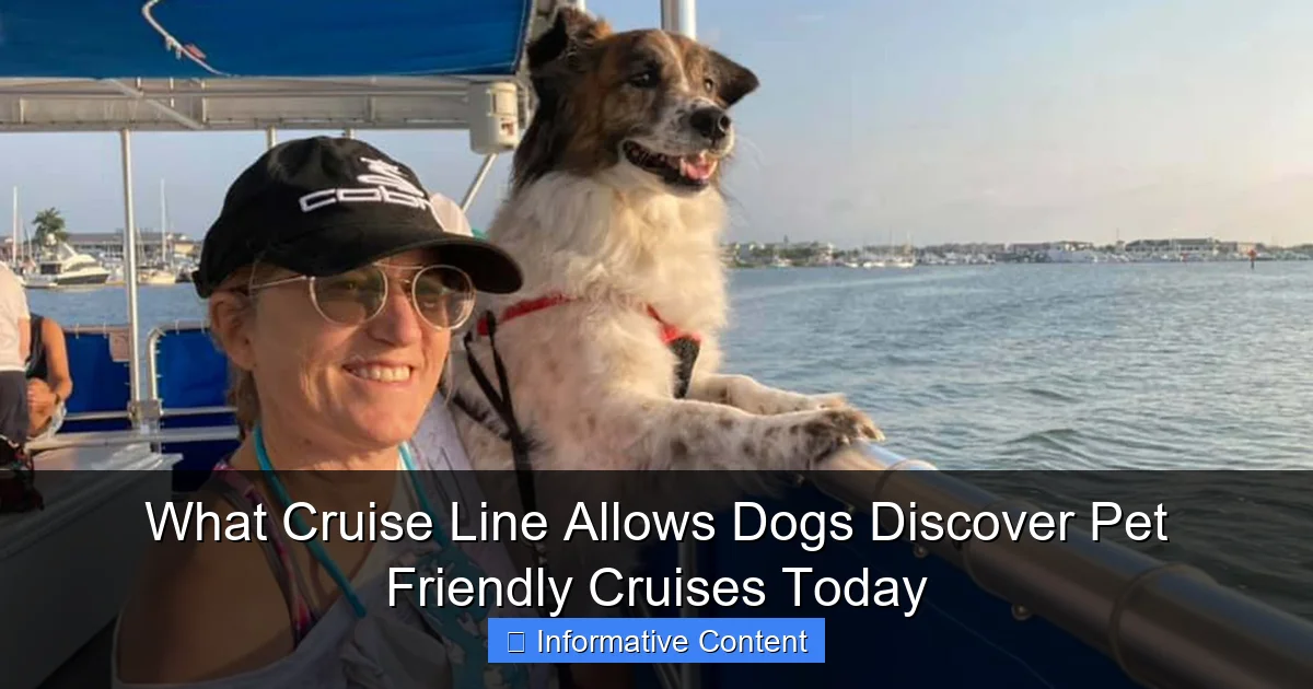 What Cruise Line Allows Dogs Discover Pet Friendly Cruises Today