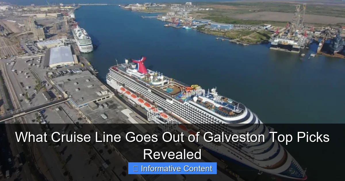 What Cruise Line Goes Out of Galveston Top Picks Revealed