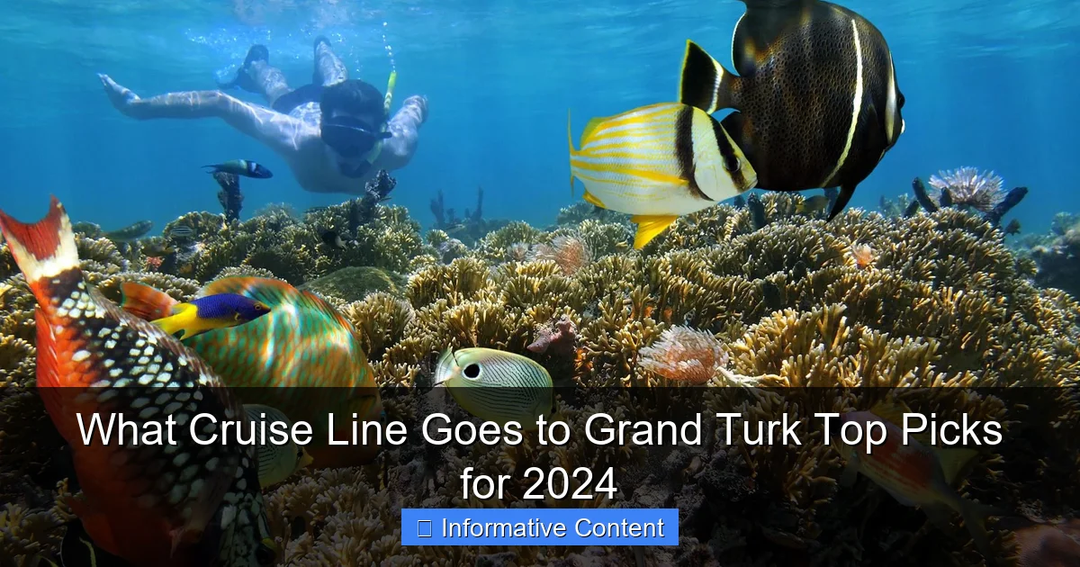 What Cruise Line Goes to Grand Turk Top Picks for 2024