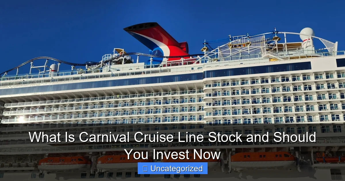 What Is Carnival Cruise Line Stock and Should You Invest Now