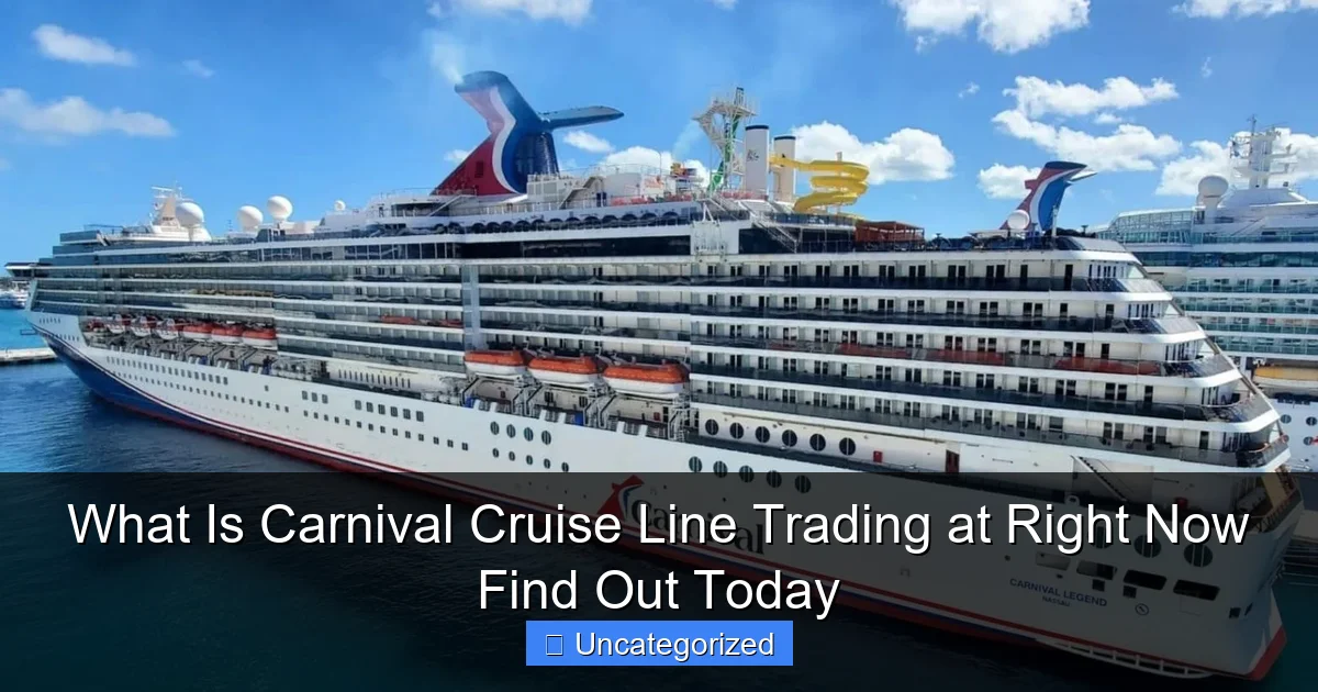 What Is Carnival Cruise Line Trading at Right Now Find Out Today