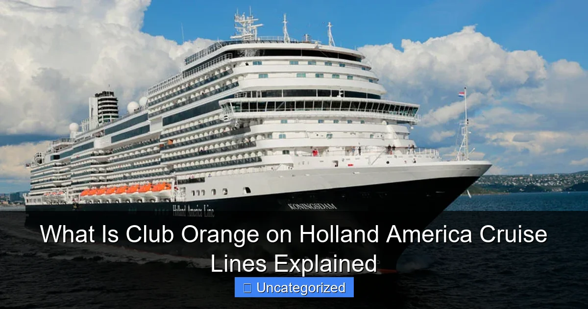 What Is Club Orange on Holland America Cruise Lines Explained