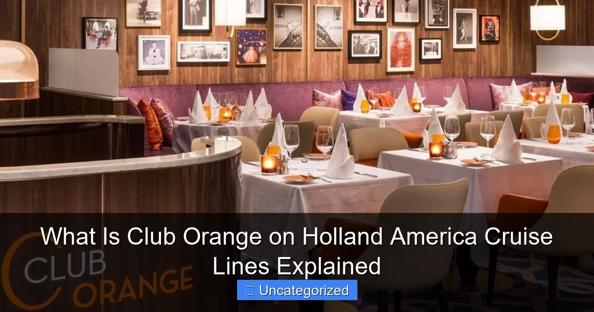 What Is Club Orange on Holland America Cruise Lines Explained