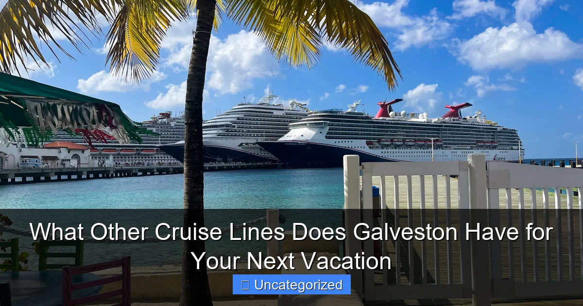 What Other Cruise Lines Does Galveston Have for Your Next Vacation