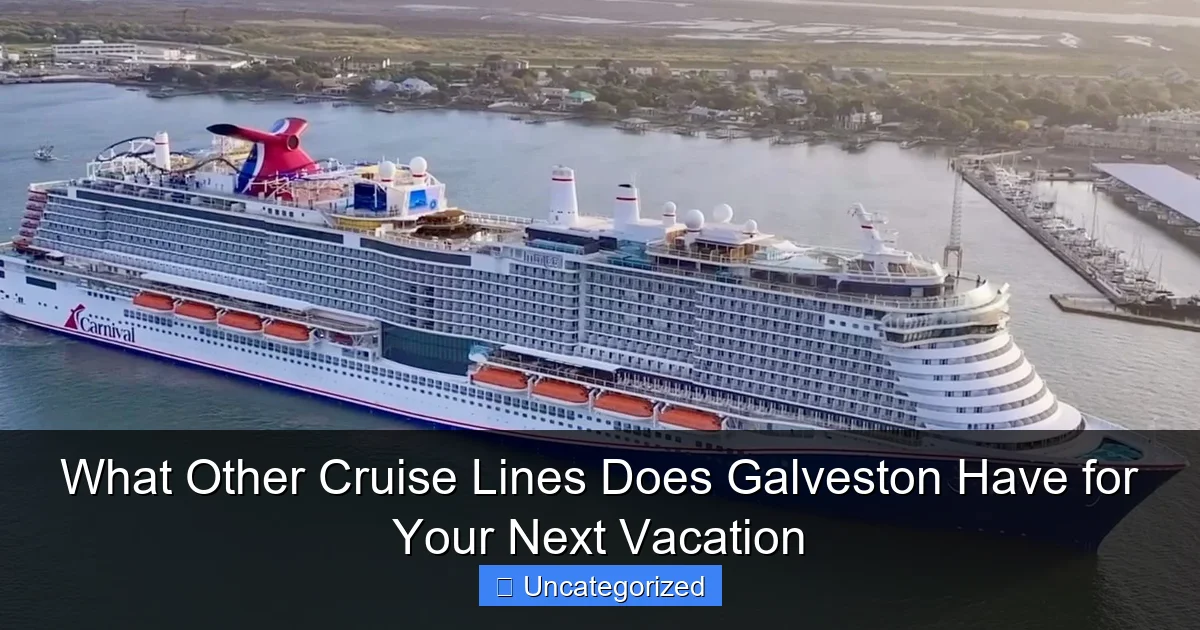 What Other Cruise Lines Does Galveston Have for Your Next Vacation