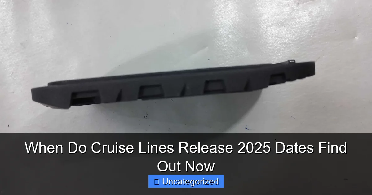 When Do Cruise Lines Release 2025 Dates Find Out Now