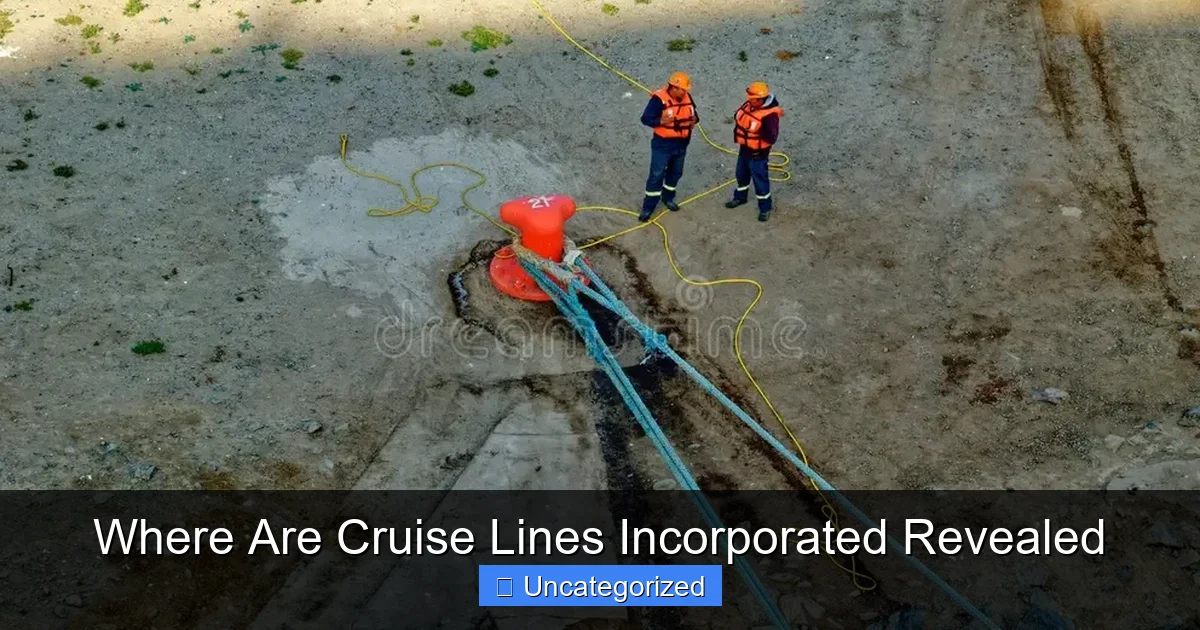 Where Are Cruise Lines Incorporated Revealed