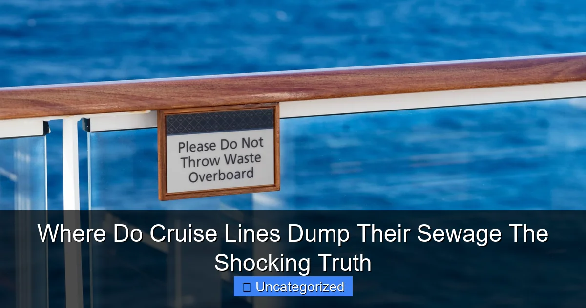 Where Do Cruise Lines Dump Their Sewage The Shocking Truth