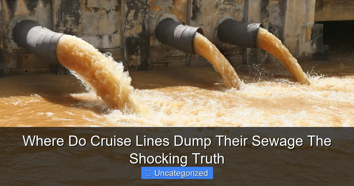 Where Do Cruise Lines Dump Their Sewage The Shocking Truth