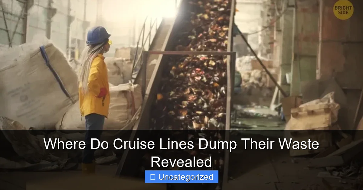 Where Do Cruise Lines Dump Their Waste Revealed