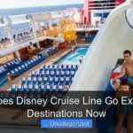 Where Does Disney Cruise Line Go Explore Top Destinations Now