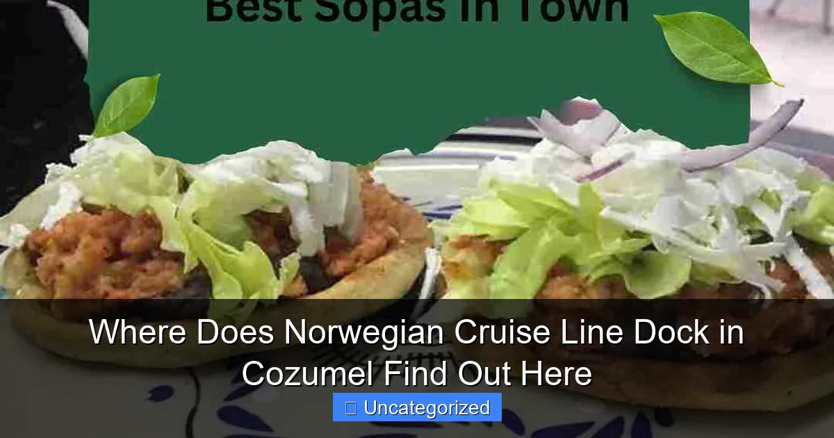 Where Does Norwegian Cruise Line Dock in Cozumel Find Out Here