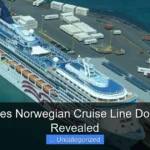 Where Does Norwegian Cruise Line Dock in Maui Revealed
