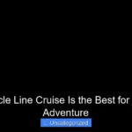 Which Circle Line Cruise Is the Best for Your NYC Adventure