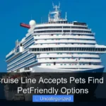 Which Cruise Line Accepts Pets Find the Best PetFriendly Options
