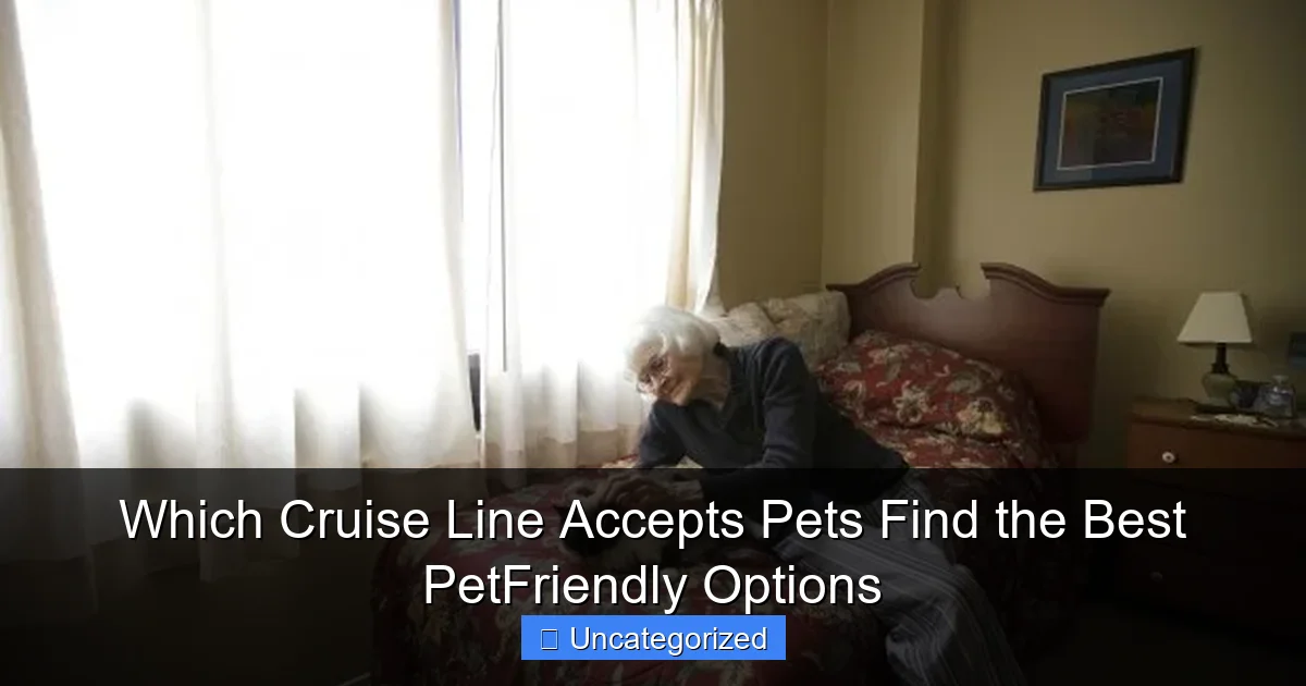 Which Cruise Line Accepts Pets Find the Best PetFriendly Options
