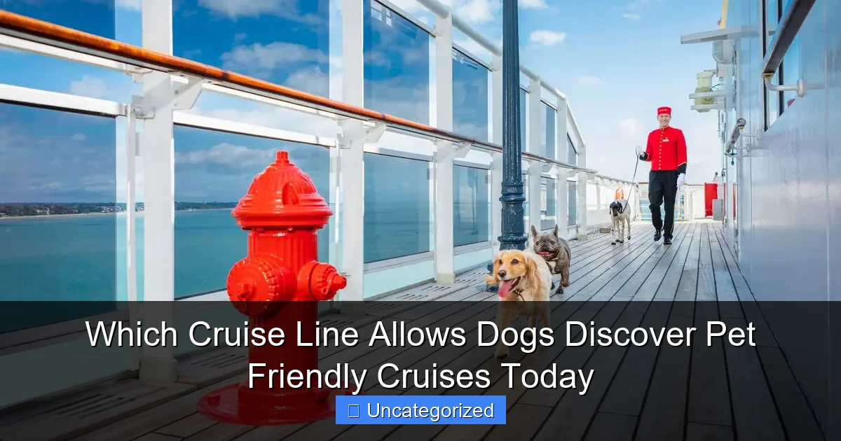 Which Cruise Line Allows Dogs Discover Pet Friendly Cruises Today