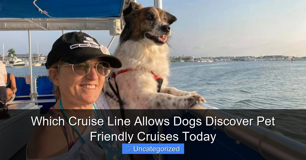 Which Cruise Line Allows Dogs Discover Pet Friendly Cruises Today