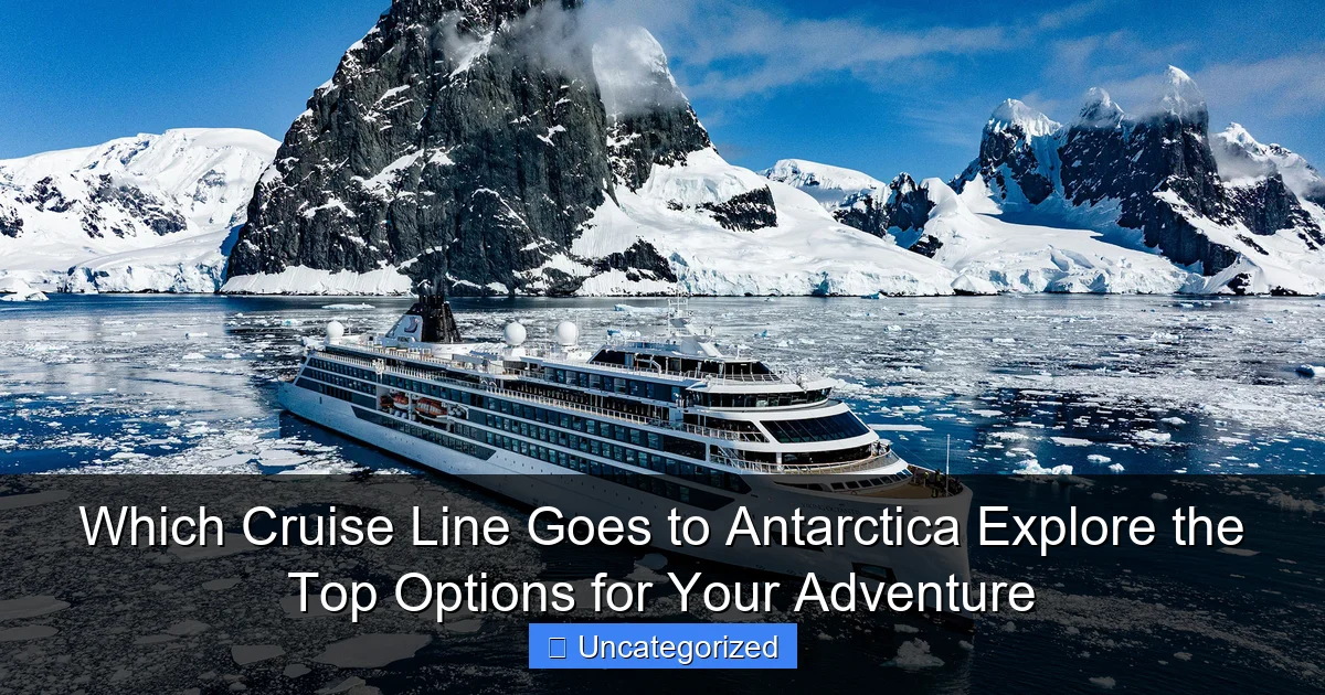 Which Cruise Line Goes to Antarctica Explore the Top Options for Your Adventure
