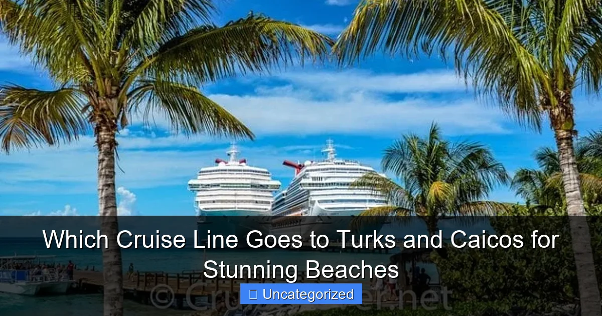 Which Cruise Line Goes to Turks and Caicos for Stunning Beaches
