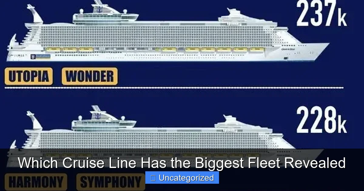 Which Cruise Line Has the Biggest Fleet Revealed