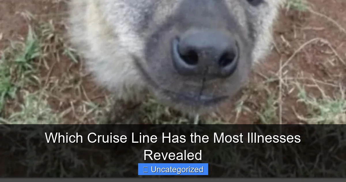 Which Cruise Line Has the Most Illnesses Revealed