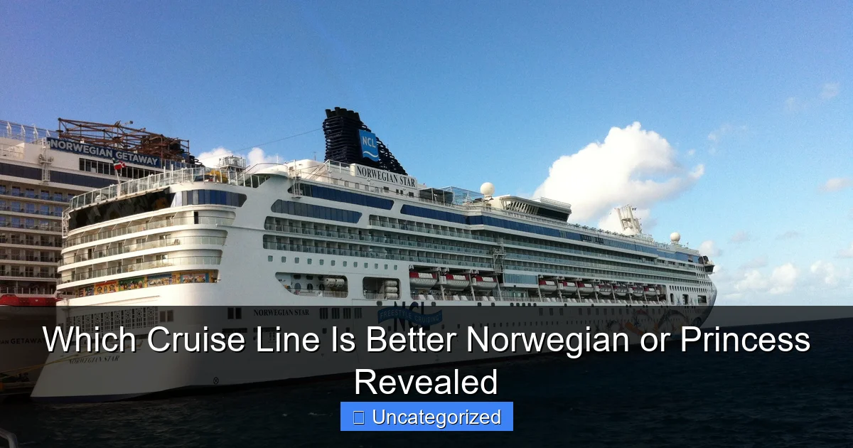 Which Cruise Line Is Better Norwegian or Princess Revealed