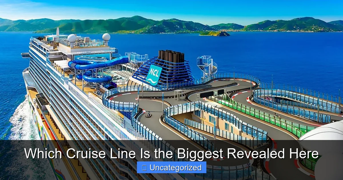 Which Cruise Line Is the Biggest Revealed Here