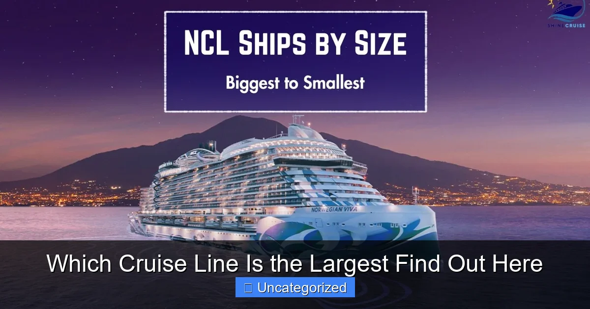 Which Cruise Line Is the Largest Find Out Here