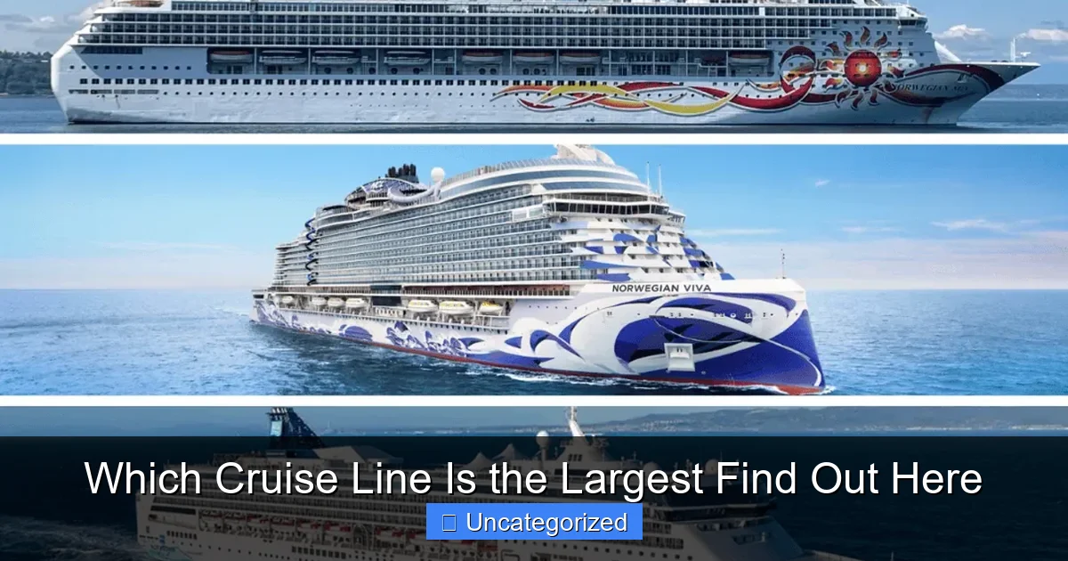 Which Cruise Line Is the Largest Find Out Here