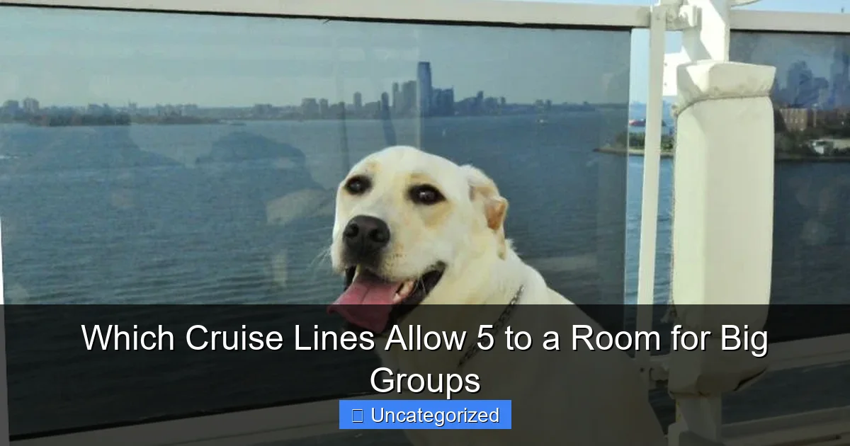 Which Cruise Lines Allow 5 to a Room for Big Groups