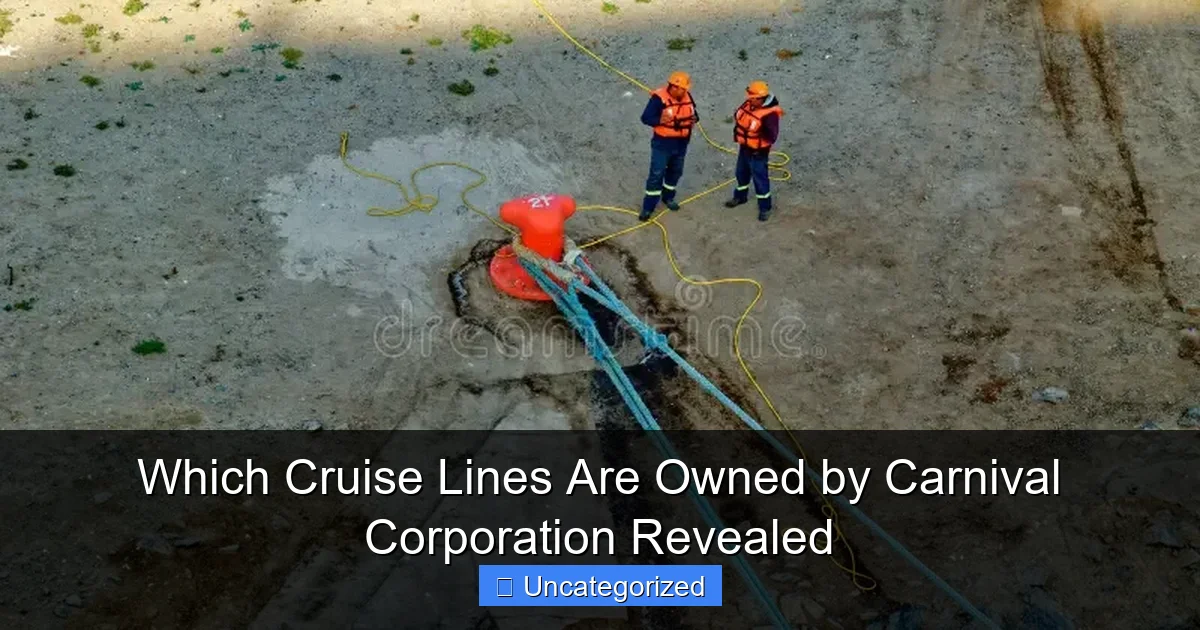 Which Cruise Lines Are Owned by Carnival Corporation Revealed