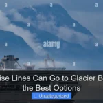 Which Cruise Lines Can Go to Glacier Bay Explore the Best Options