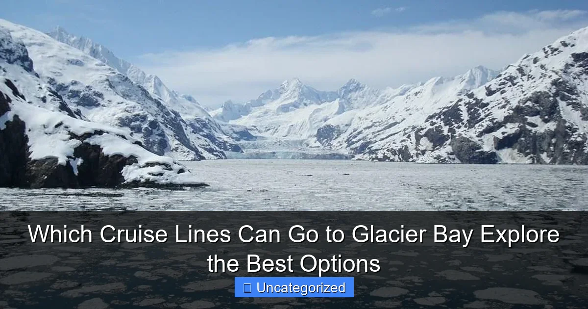 Which Cruise Lines Can Go to Glacier Bay Explore the Best Options