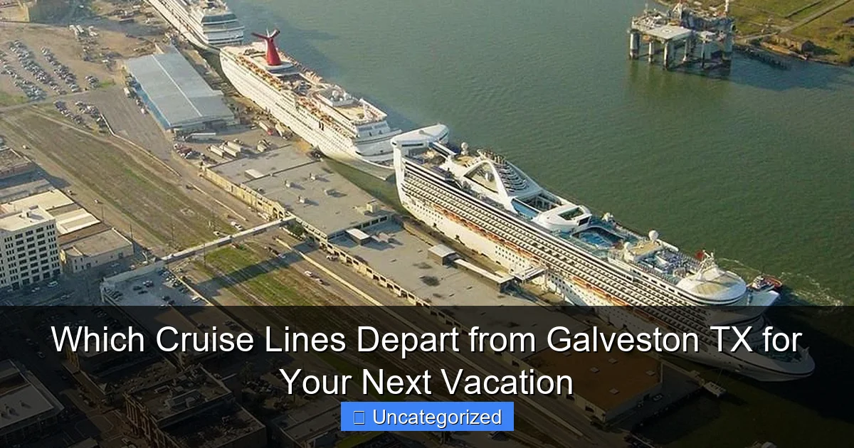 Which Cruise Lines Depart from Galveston TX for Your Next Vacation