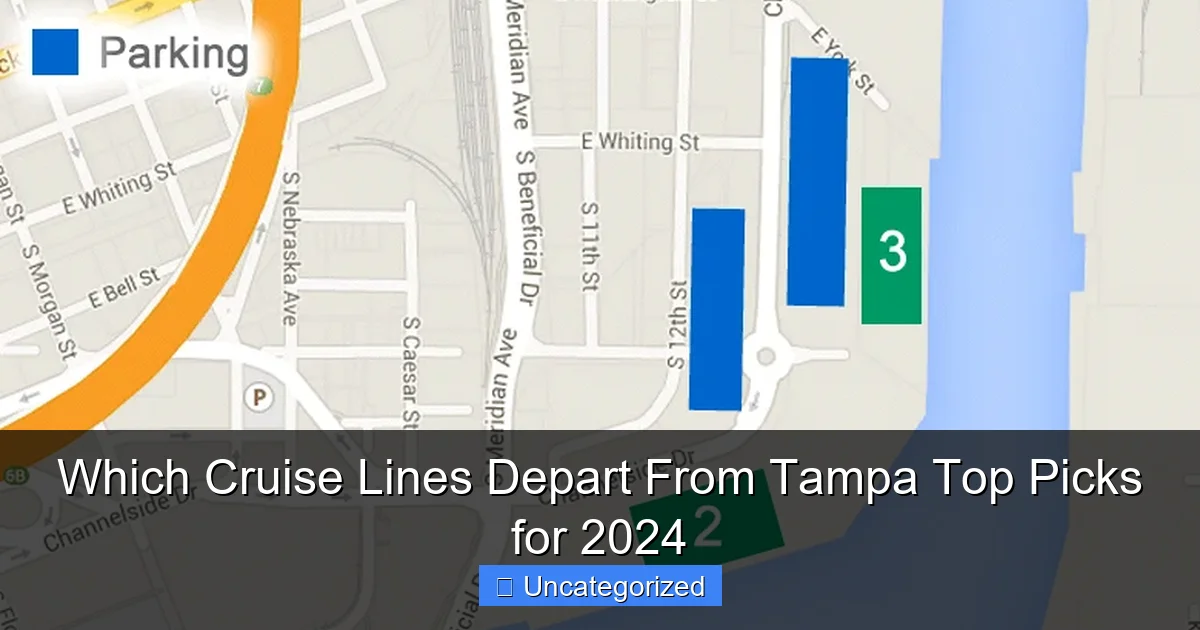 Which Cruise Lines Depart From Tampa Top Picks for 2024