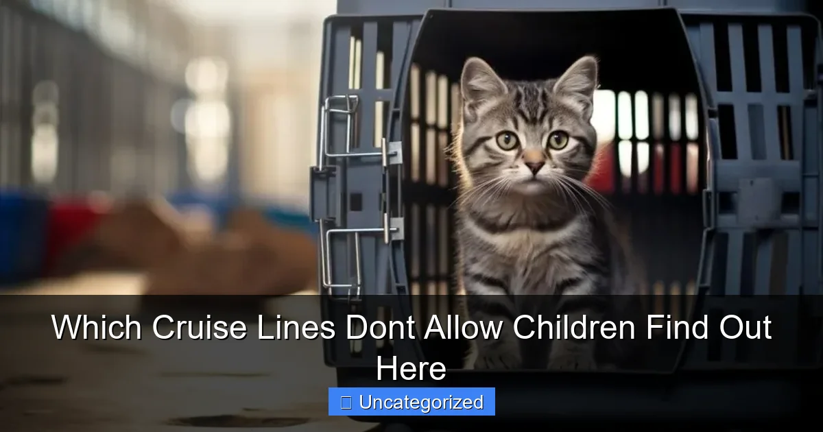 Which Cruise Lines Dont Allow Children Find Out Here