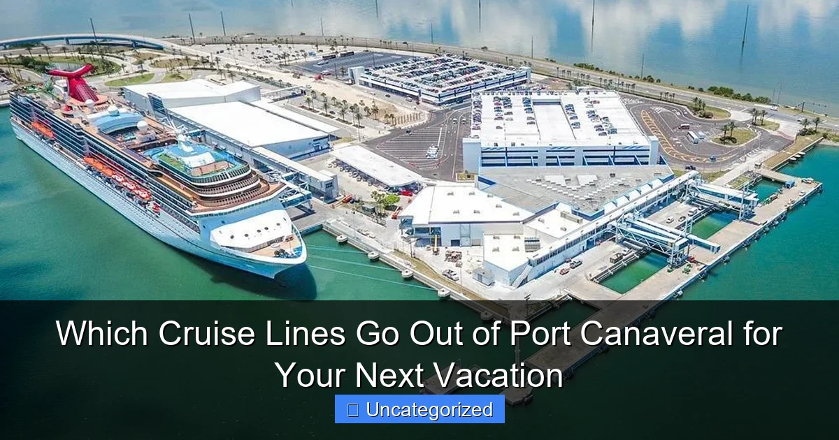 Which Cruise Lines Go Out of Port Canaveral for Your Next Vacation