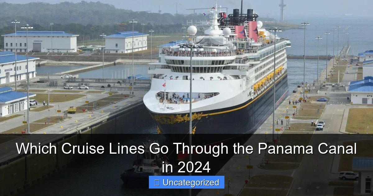 Which Cruise Lines Go Through the Panama Canal in 2024