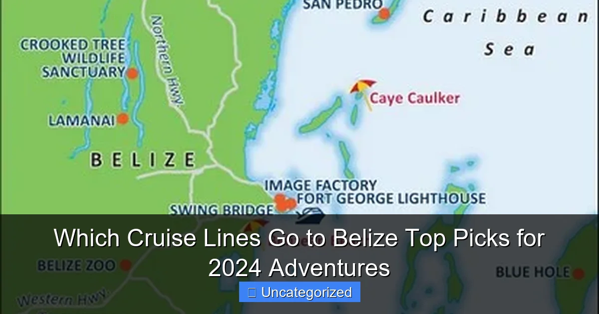 Which Cruise Lines Go to Belize Top Picks for 2024 Adventures