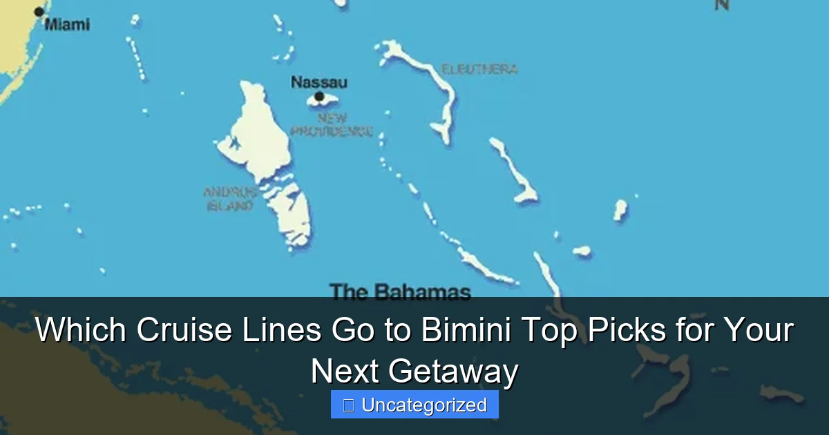 Which Cruise Lines Go to Bimini Top Picks for Your Next Getaway