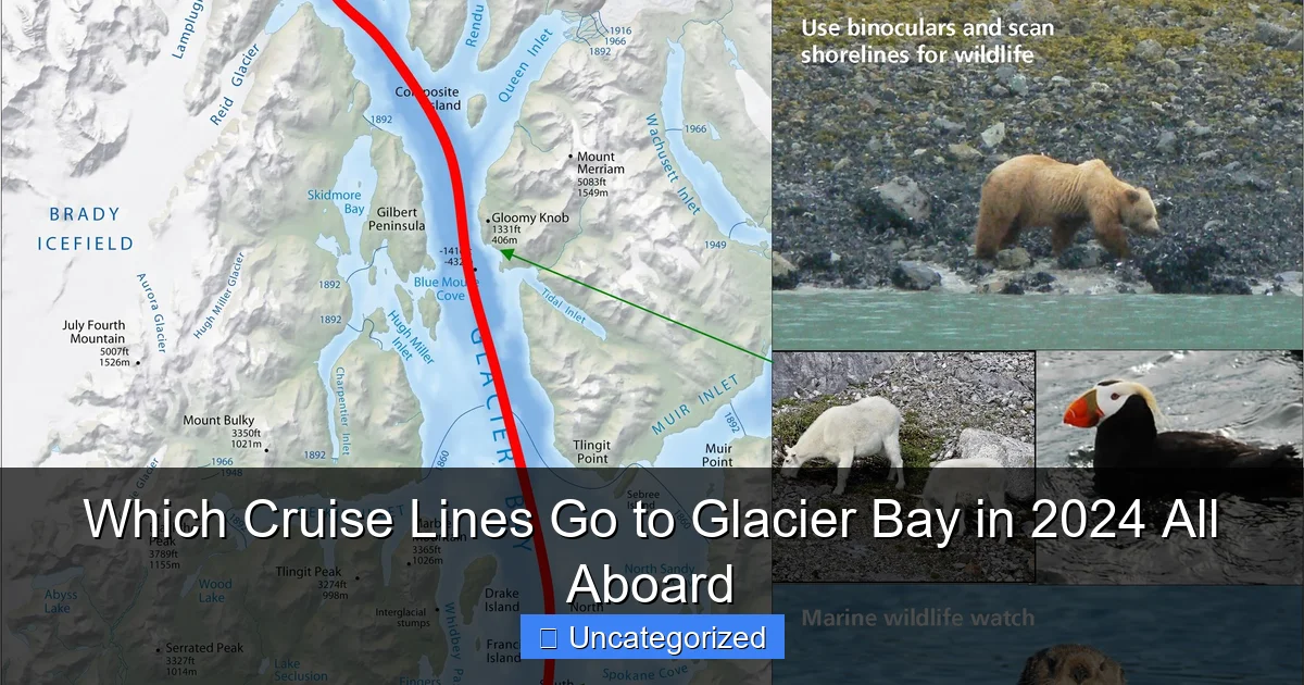 Which Cruise Lines Go to Glacier Bay in 2024 All Aboard
