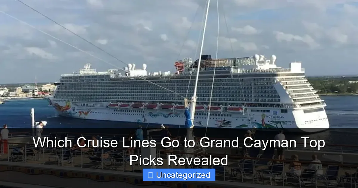 Which Cruise Lines Go to Grand Cayman Top Picks Revealed