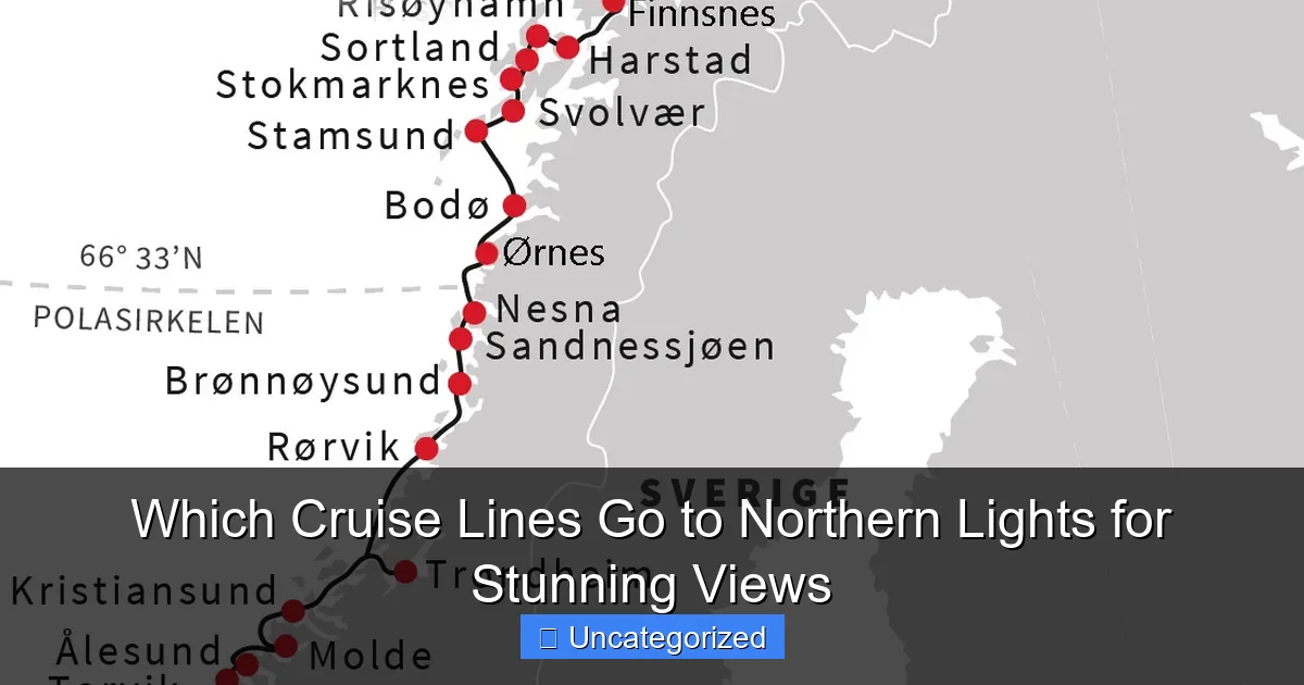 Which Cruise Lines Go to Northern Lights for Stunning Views